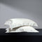 Seta Couture - Mulberry Silk Albescent White Pillow Case