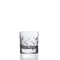 Davinci Steel 2 Whisky Tumber 29cl 9oz