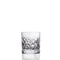 Davinci Trama 2 Whisky Tumber 29cl 9oz