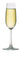 Ocean Madison Flute Champagne