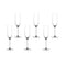 Lucaris Bangkok Bliss Champagne 6oz 180ml   6pcs per set