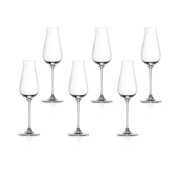 Lucaris Desire Sparking 8oz 240ml 6pcs per set
