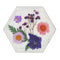 Jojomama Hexagon Bloom Coaster - Set of 4