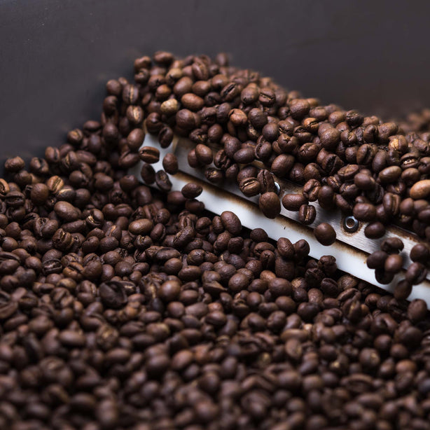 Cafe Monza Coffee Beans 1kg - Forte Blend