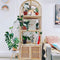 Bookshelf With Cabinet