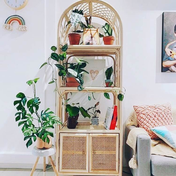 Bookshelf With Cabinet