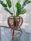 Brown Rattan Plant Pot Stand