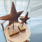 Teak Star Carving (Big) - Brown