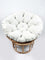 Manau Papasan With Natural Frame and cushion - Natural