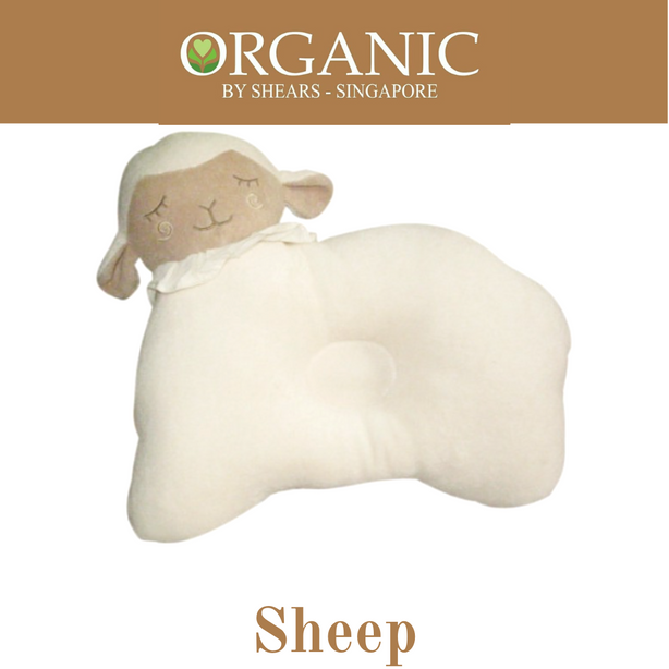 Shears Organic Baby Pillow Sheep