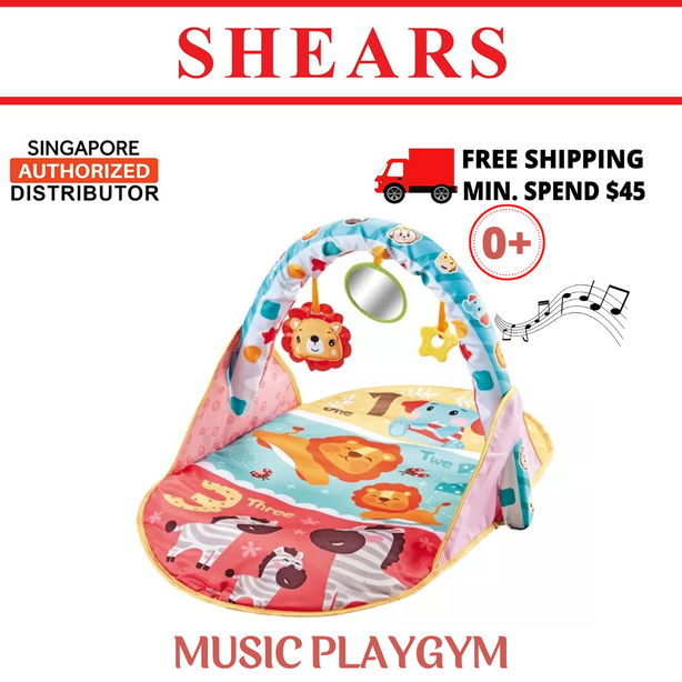 Shears Play Gym Single Bar Baby Play Mat Music Playgym SPG3390