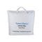 Nature Basics Euro Feather Pillow
