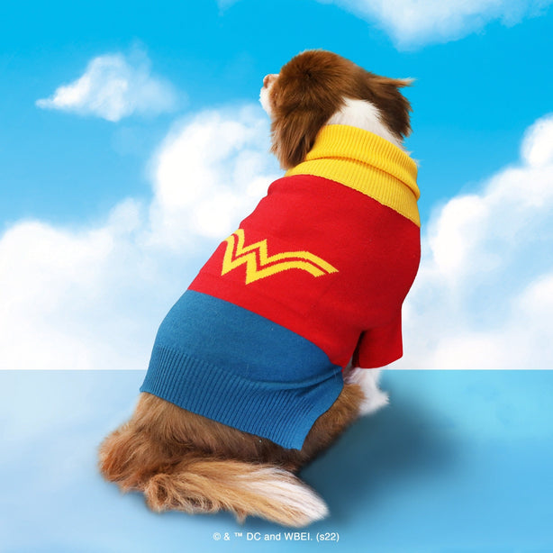 Super-Pets Sweater