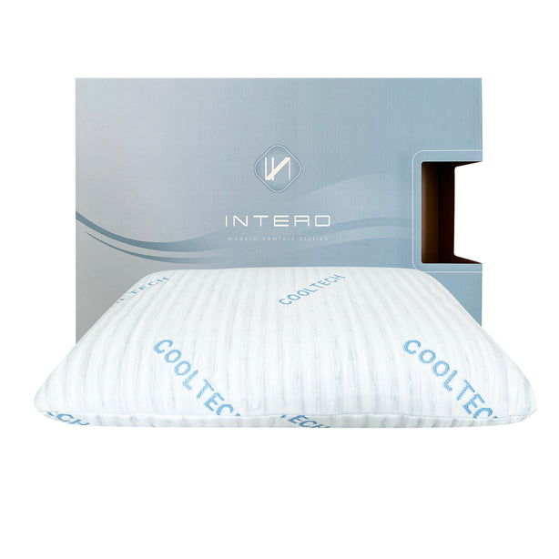 Intero CoolTECH Air Pass Charcoal Memory Foam Comfort Pillow