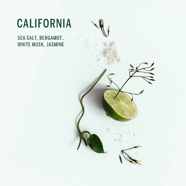 Corpus Natural Deodorant Stick California 75g