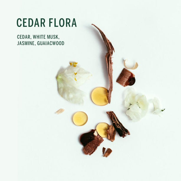 Corpus Natural Deodorant Stick Cedar Flora 75g