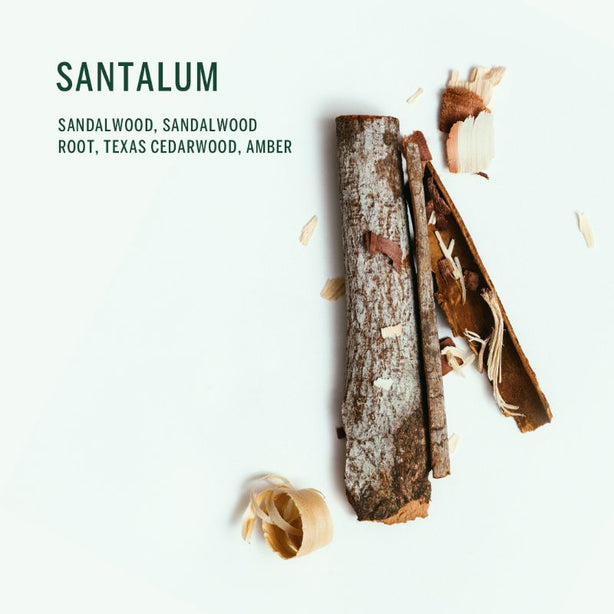 Corpus Natural Deodorant Stick Santalum 75g