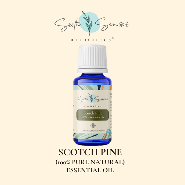 Sixth Senses Aromatics Scotch Pine essential oil