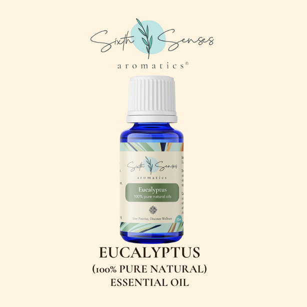 Sixth Senses Aromatics Eucalyptus essential oil