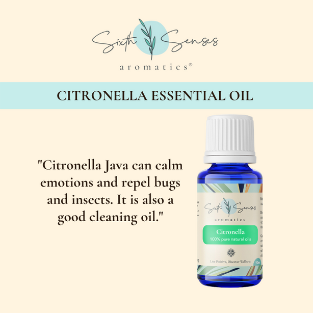 Sixth Senses Aromatics Citronella essential oil