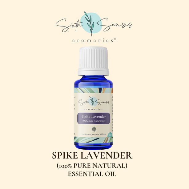 Sixth Senses Aromatics Spike Lavender essential oil