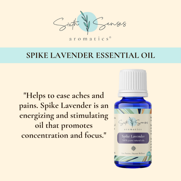 Sixth Senses Aromatics Spike Lavender essential oil
