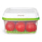 Sistema FreshWorks -2.6L Large Square