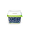 Sistema FreshWorks -591ml Small Square