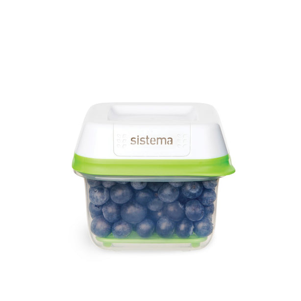 Sistema FreshWorks -591ml Small Square