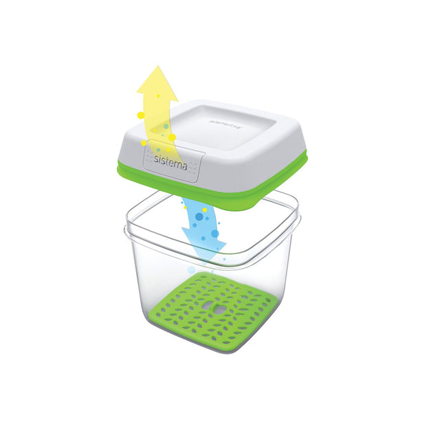 Sistema FreshWorks - 1.5L Medium Square