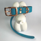 LEASh Pet Collar Biothane - Ocean Rose Hardware