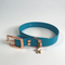 LEASh Pet Collar Biothane - Ocean Rose Hardware