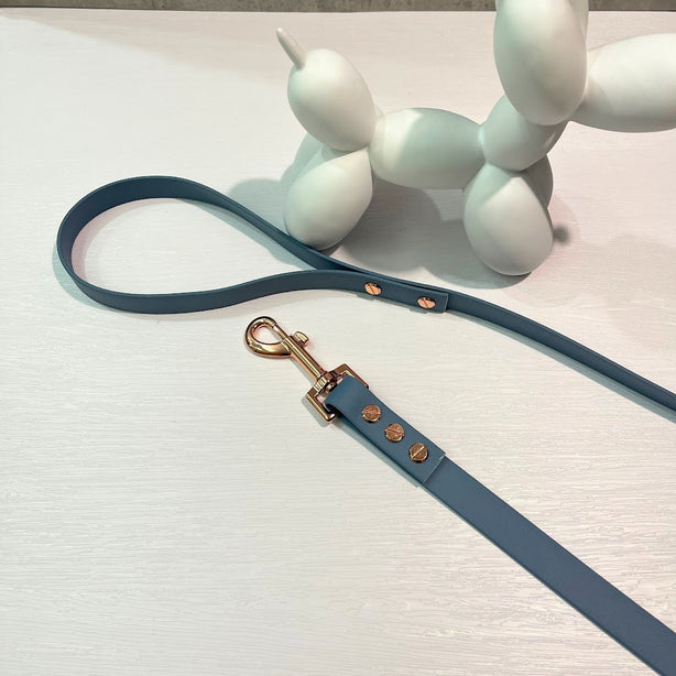 LEASh Pet Leash Biothane - Dusty Blue Matte Rose Gold Hardware