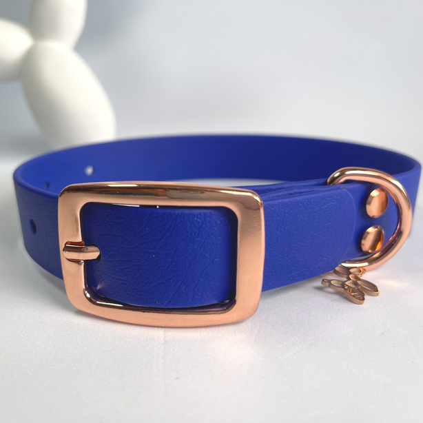 LEASh Pet Collar Biothane - Azure Blue Rose Hardware