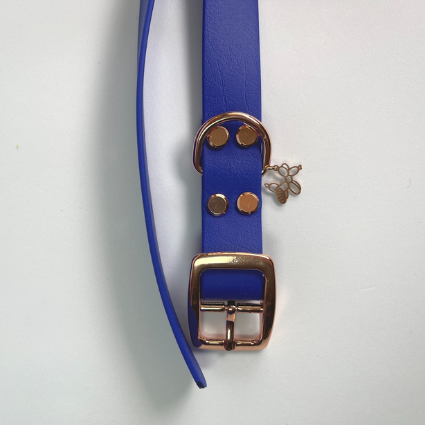 LEASh Pet Collar Biothane - Azure Blue Rose Hardware