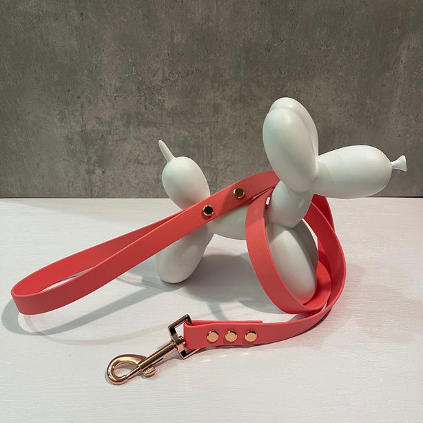LEASh Pet Leash Biothane - Taffy Pink Rose Gold Hardware