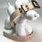 LEASh Pet Collar Biothane - Santa Fe