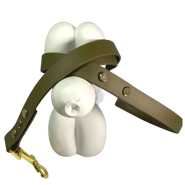 LEASh Pet Leash Biothane - Mosh Gold Hardware