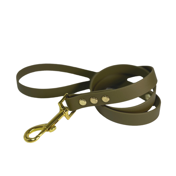 LEASh Pet Leash Biothane - Mosh Gold Hardware