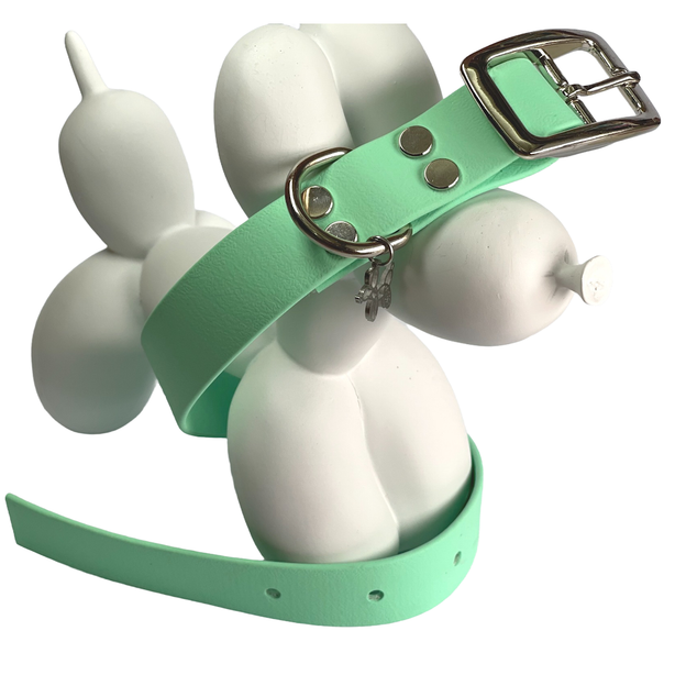 LEASh Pet Collar Biothane - Mint