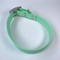 LEASh Pet Collar Biothane - Mint