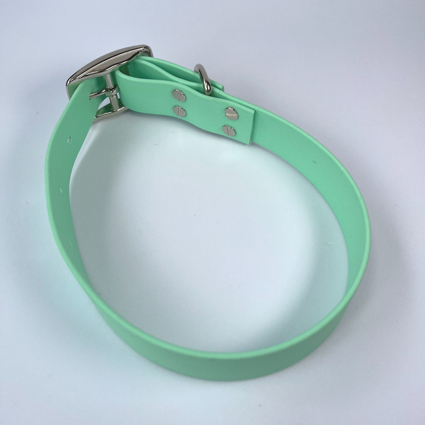LEASh Pet Collar Biothane - Mint