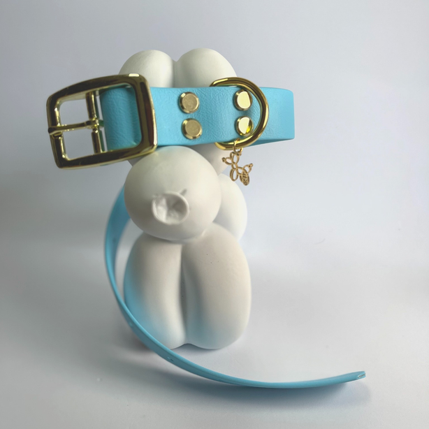 LEASh Pet Collar Biothane - Sky Blue Gold Hardware