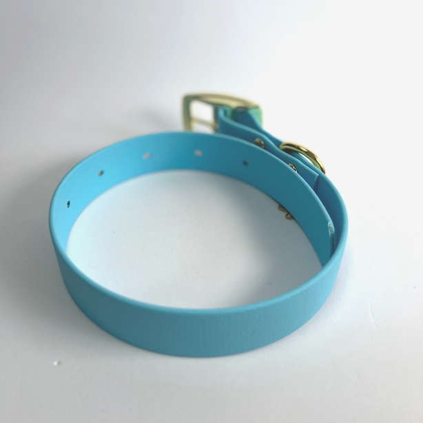 LEASh Pet Collar Biothane - Sky Blue Gold Hardware