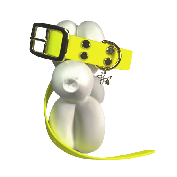 LEASh Pet Collar Biothane - Minion Yellow Gold Hardware