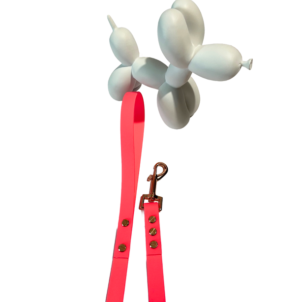 LEASh Pet Leash Biothane - Bold Pink Rose Gold Hardware