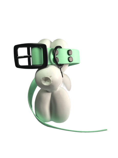 LEASh Pet Collar Biothane - Mint Black Hardware