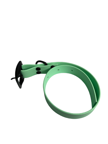 LEASh Pet Collar Biothane - Mint Black Hardware