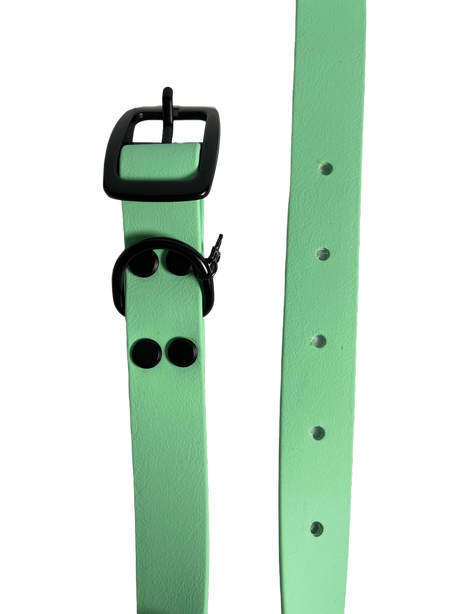 LEASh Pet Collar Biothane - Mint Black Hardware
