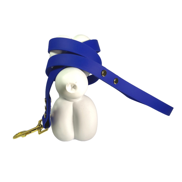 LEASh Pet Leash Biothane - Azure Blue Gold Hardware